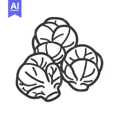 Aset premium populer: Line Drawing of Three Whole Brussels Sprouts