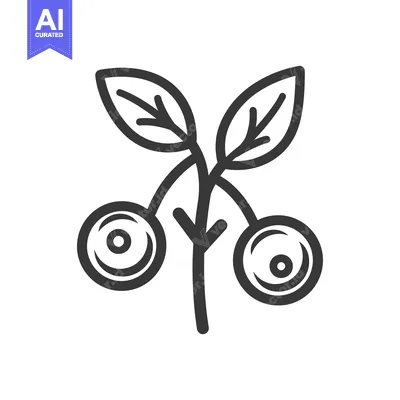 Aset desain premium: Line drawing of two blueberries on a stem with leaves