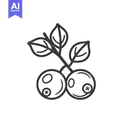 Aset premium populer: Line Drawing of Two Blueberries with Leaves