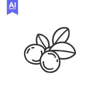 Aset desain premium: Line Drawing of Two Blueberries with Leaves