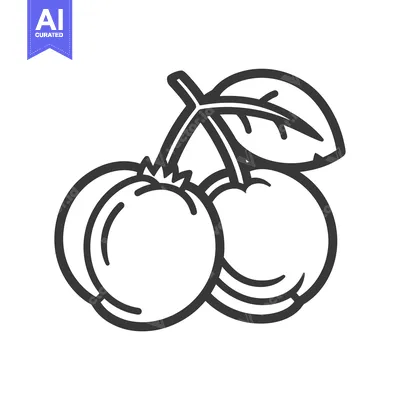 Aset desain premium: Line Drawing of Two Cherries with a Leaf