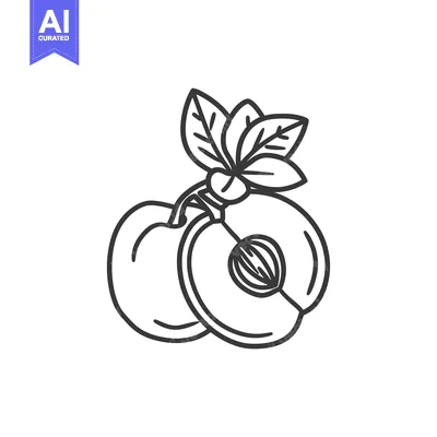 Line Drawing of Two Cherries with a Leaf Stem