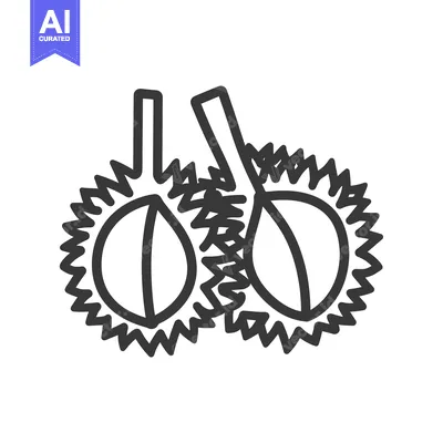 Line drawing of two durian fruits