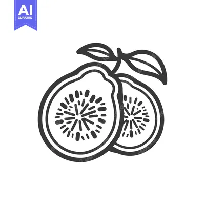 Aset premium populer: Line Drawing of Two Figs with Leaves