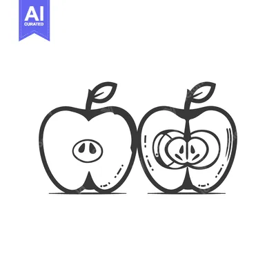 Aset desain premium: Line Drawing of Two Halved Apples with Different Internal Details