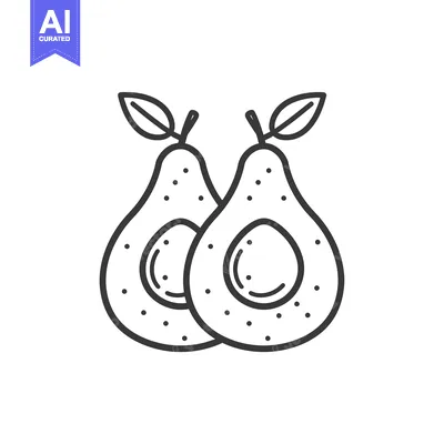 Aset desain premium: Line drawing of two halved avocados with leaves