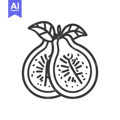 Aset desain premium: Line Drawing of Two Halved Figs with Leaves