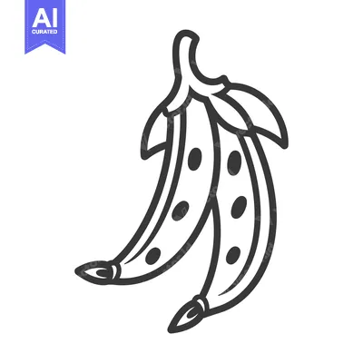 Aset desain premium: Line drawing of two open pea pods
