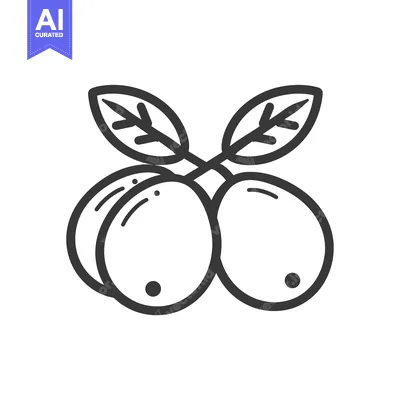 Aset premium populer: Line Drawing of Two Oranges with Leaves
