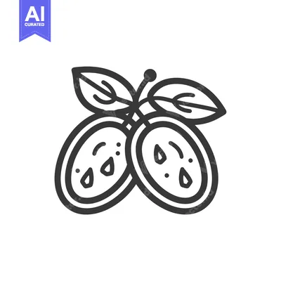 Aset desain premium: Line Drawing of Two Passion Fruits with Stem and Leaves