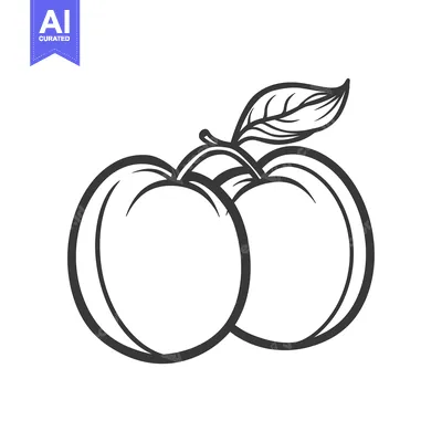 Line drawing of two peaches with a leaf