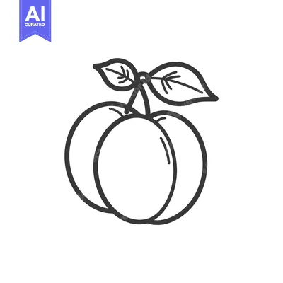 Aset premium populer: Line Drawing of Two Plums with a Stem and Leaf