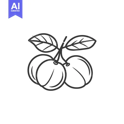 Aset premium populer: Line Drawing of Two Plums with Leaves