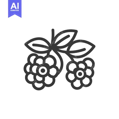 Aset premium populer: Line drawing of two raspberries on a stem with leaves