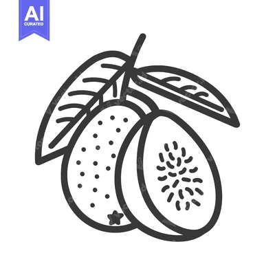 Popular premium asset: Line Drawing of Two Whole Kiwis and a Kiwi Slice with a Leaf