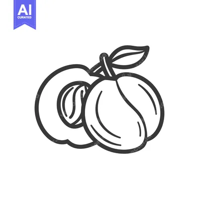Popular premium asset: Line Drawing of Two Whole Plums and One Half Plum