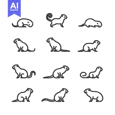 Premium design asset: Line Drawings of a Ferret in Various Poses