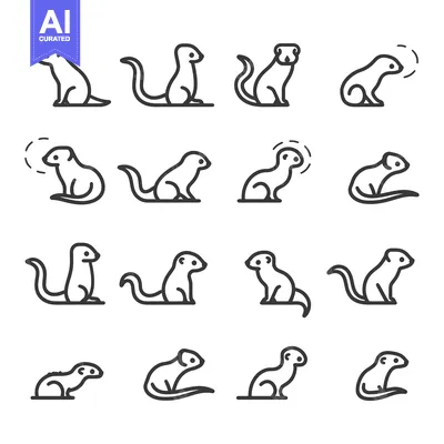 Line Drawings of a Ferret in Various Poses