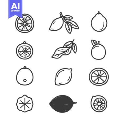 Aset premium populer: Line Drawings of Citrus Fruits, Leaves, and Slices