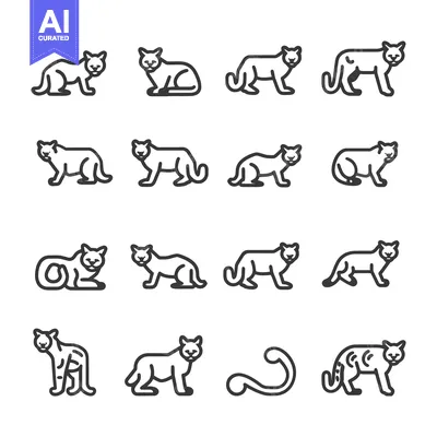 Line Drawings of Cougars in Various Poses