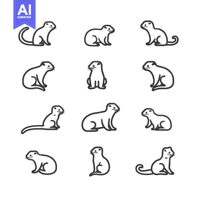 Premium design asset: Line Drawings of Ferrets in Various Poses