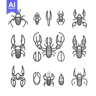 Premium design asset: Line Drawings of Lobsters in Different Stages of Life