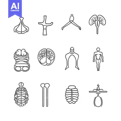 Popular premium asset: Line Drawings of the Human Body's Anatomical Systems