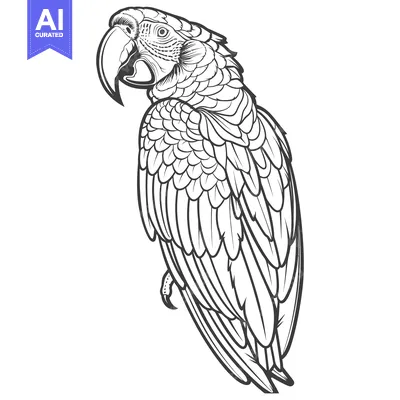 Aset premium populer: A Detailed Black and White Line Drawing of a Parrot