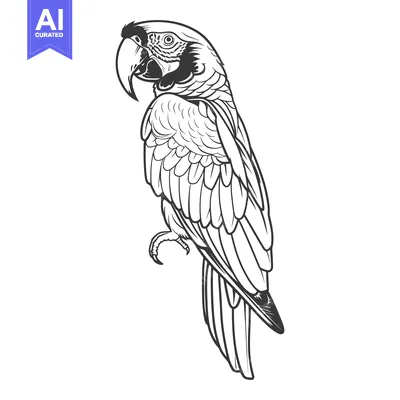 Popular premium asset: A detailed illustration depicts an upright parrot in black and white