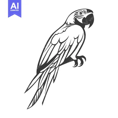 Premium design asset: A stylized black and white illustration of a parrot bird