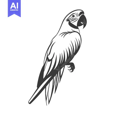 Premium design asset: A detailed grayscale illustration of a tropical parrot standing calmly