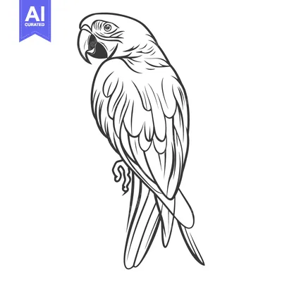 Premium design asset: A detailed line drawing depicting a perched tropical parrot bird