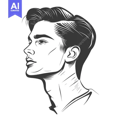 Aset premium populer: Elegant line art portrait illustrating the profile of a young man