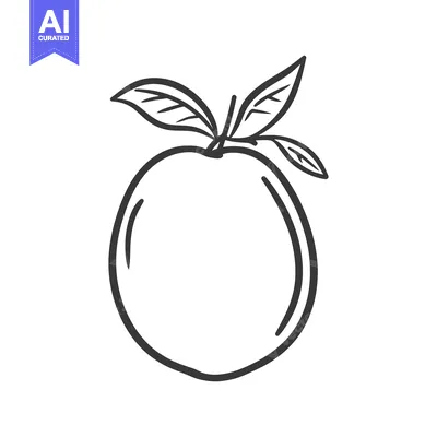 Aset premium populer: A simple black and white drawing of a single fruit and leaves