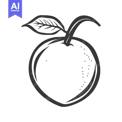 Aset premium populer: Simple monochrome drawing of a ripe fruit with a leaf