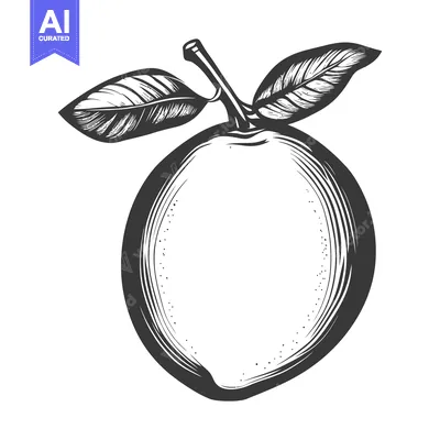 Aset premium populer: An illustration depicting a monochrome fruit with two leaves on a stem