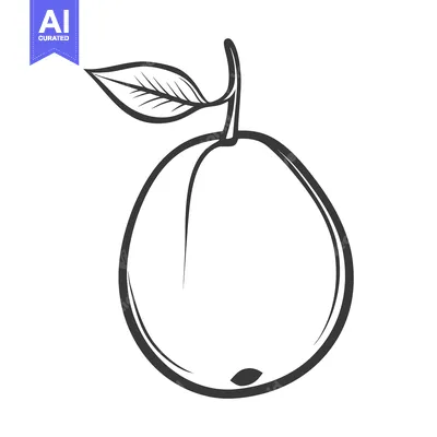 A black and white drawing of a single fruit with a leaf