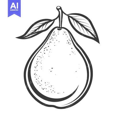 Aset desain premium: A monochrome illustration of a pear with its leaves shown