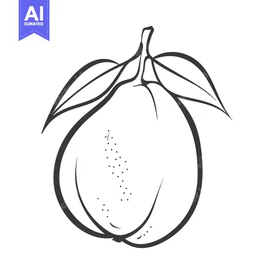 Aset premium populer: A detailed monochrome illustration featuring an organic fruit and leav