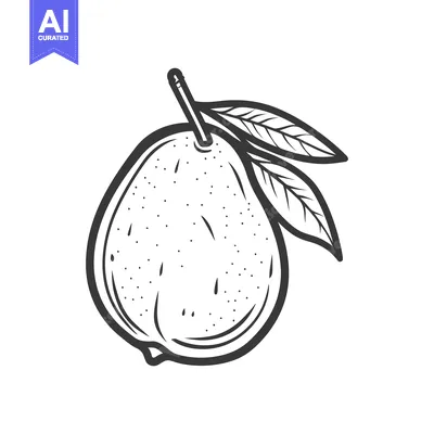 Popular premium asset: An isolated illustration displaying a pear with two leaves on a stem