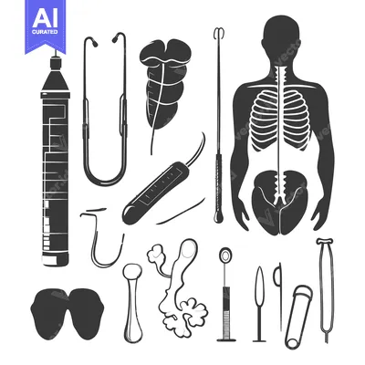 Popular premium asset: Medical Instruments and Anatomical Illustrations