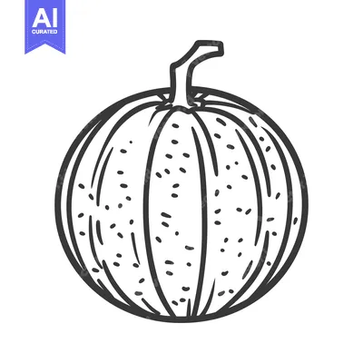Aset premium populer: A black and white line drawing illustration of a pumpkin