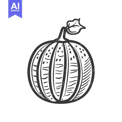 Aset premium populer: A simple line drawing illustration showing a rounded squash vegetable
