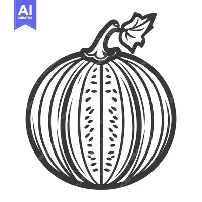 Popular premium asset: Vector illustration showing a round fruit with a segmented pattern and