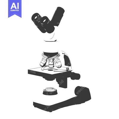 Aset premium populer: A detailed depiction of a scientific microscope in illustration form