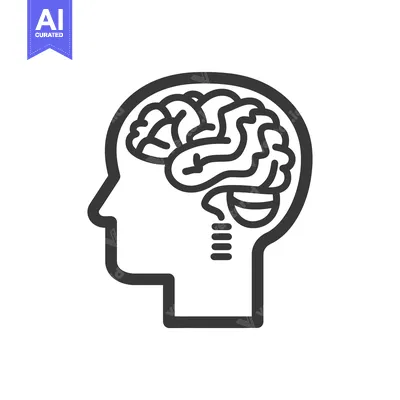 Aset desain premium: An outline graphic of a human head and its brain structure
