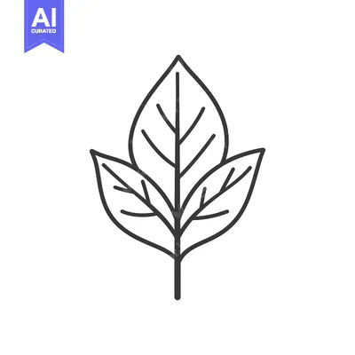 Aset premium populer: Simple Line Drawing Of Three Leaves On A Stem