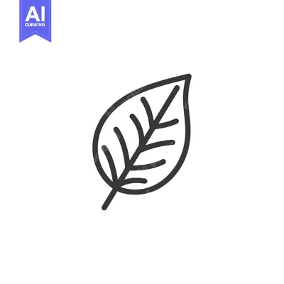 Aset premium populer: Simple Line Drawing Of A Single Leaf