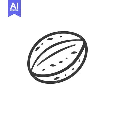 Single coffee bean line art graphic illustration