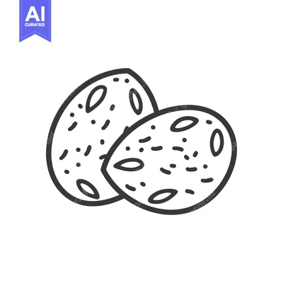 Line art drawing of two whole almonds